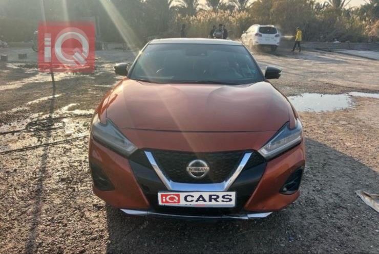 نيسان ماكسيما